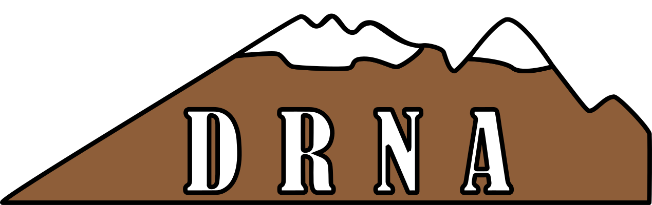 Dolomites Research Notes on Approximation Logo
